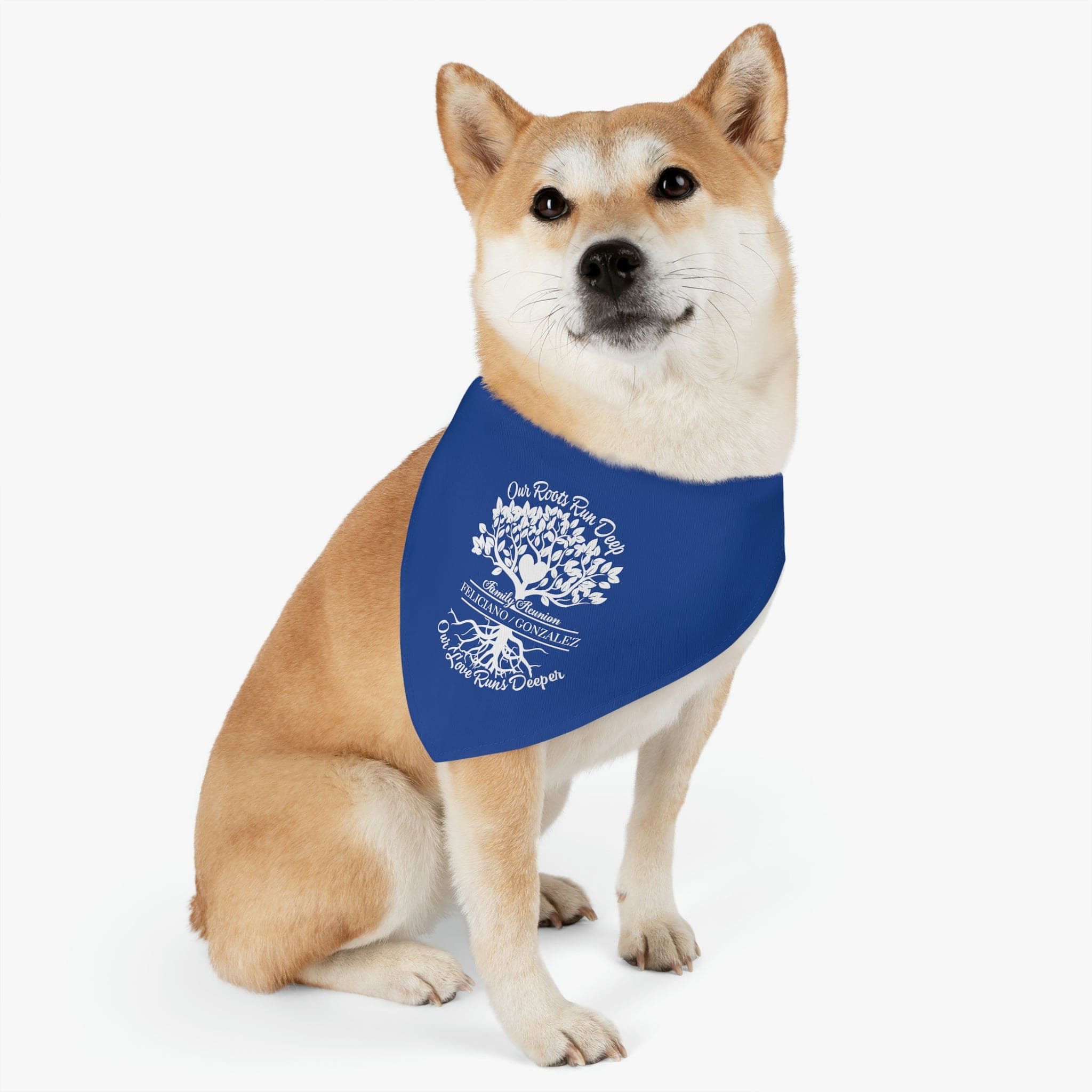 Blue Pet Bandana Collar