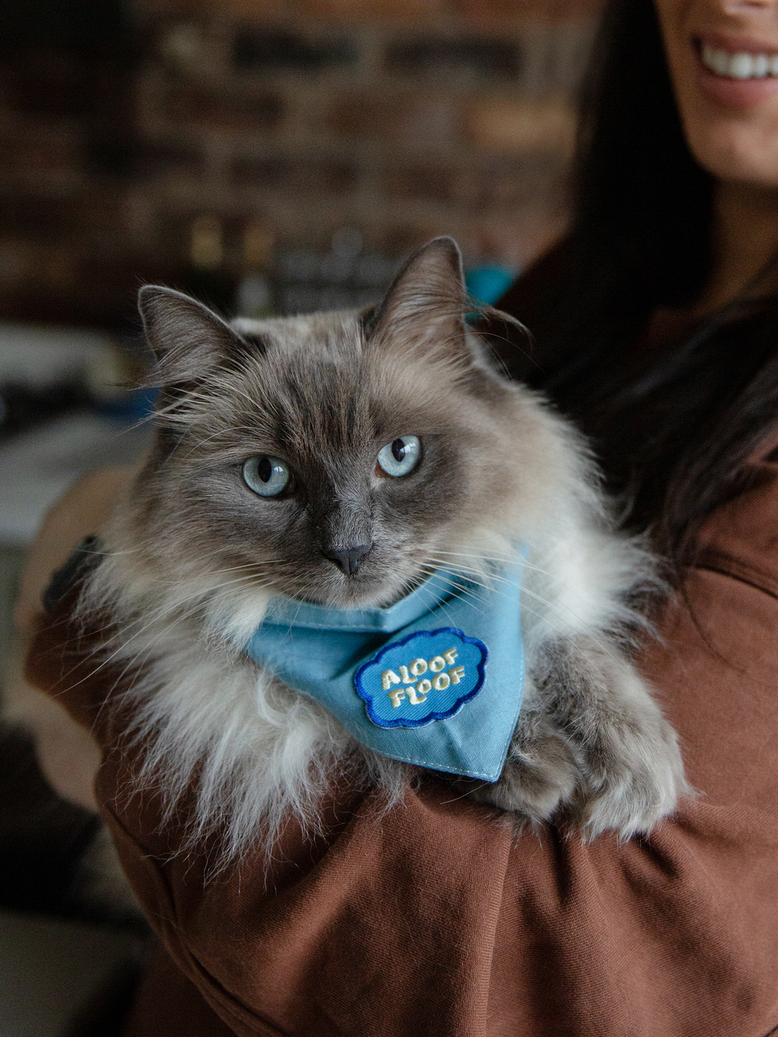 Aloof Floof iron-on patch for pets