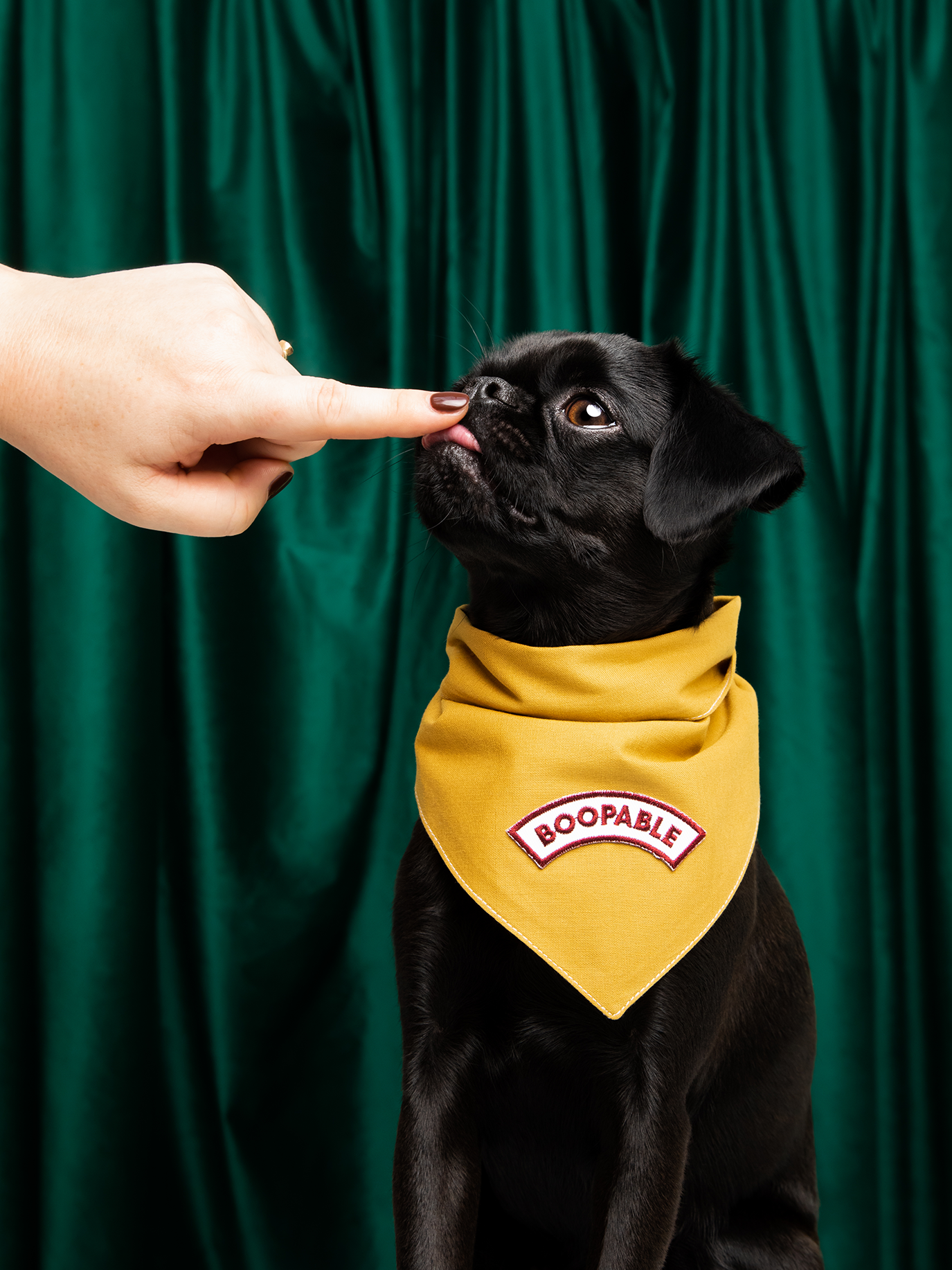 Boopable iron-on patch for pets