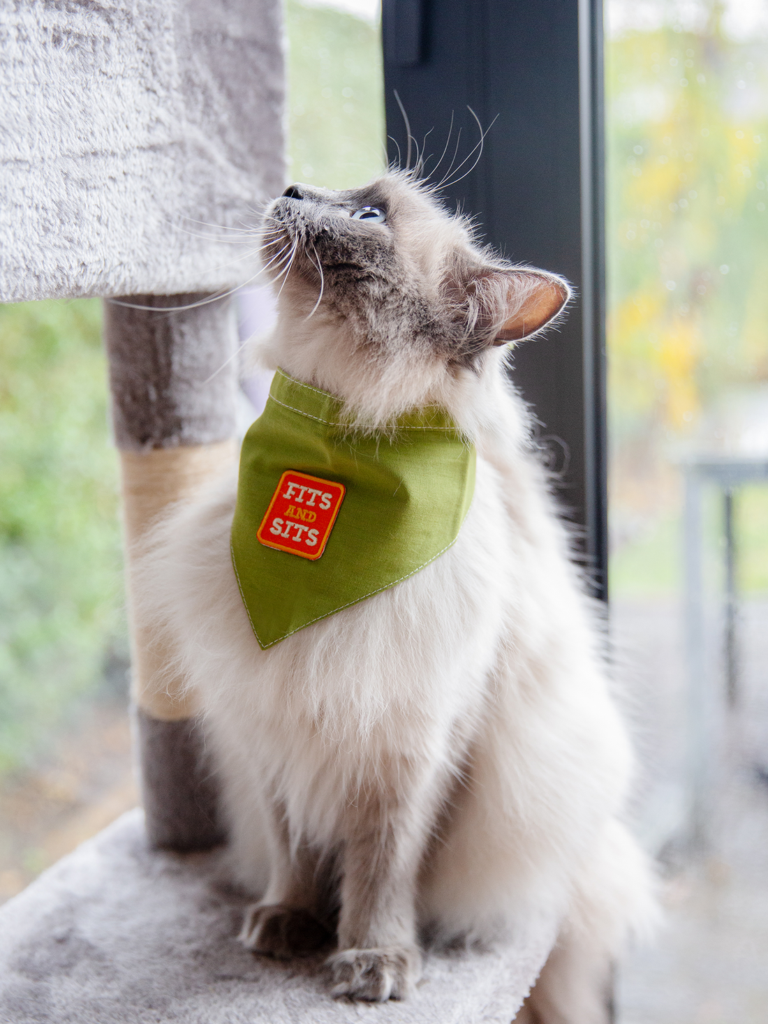 Fits and Sits iron-on patch for pets