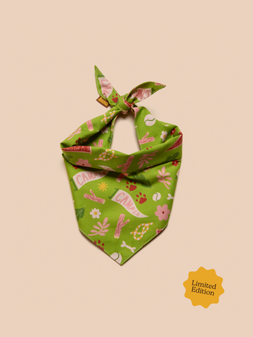 Camp Canine Scout Bandana for dogs