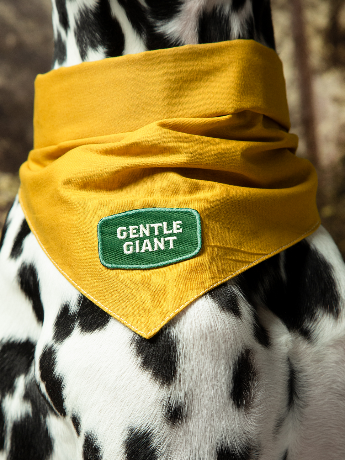 Gentle Giant iron-on patch for pets